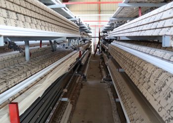 Kako funkcioniše tržište aluminijumske i PVC stolarije u Srbiji, region i šire
